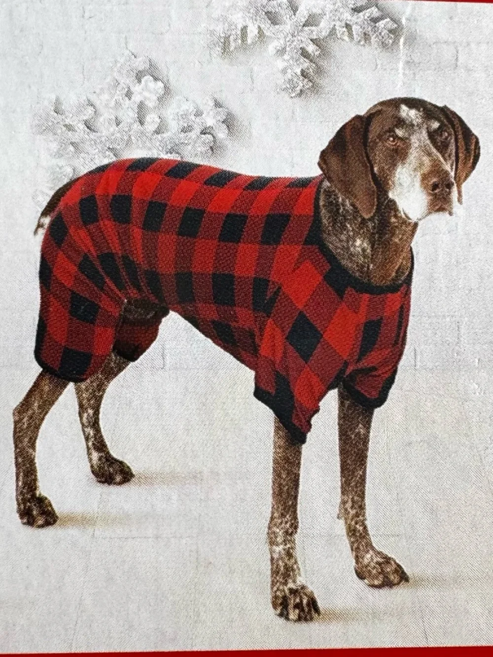 Red and Black Buffalo Plaid Pet Pajamas